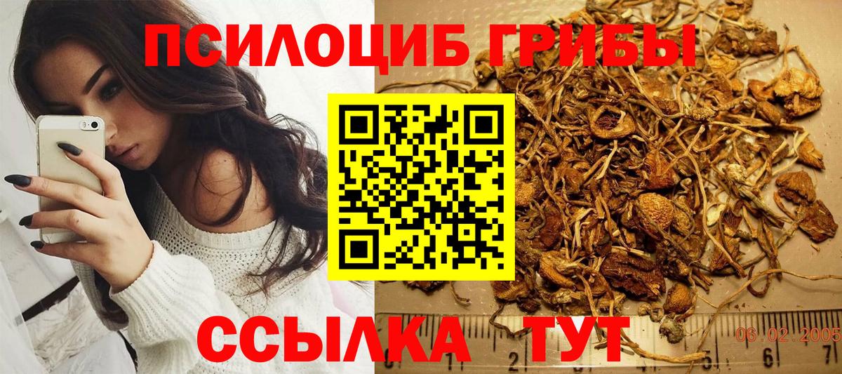 Галлюциногенные грибы прущие грибы Родники
