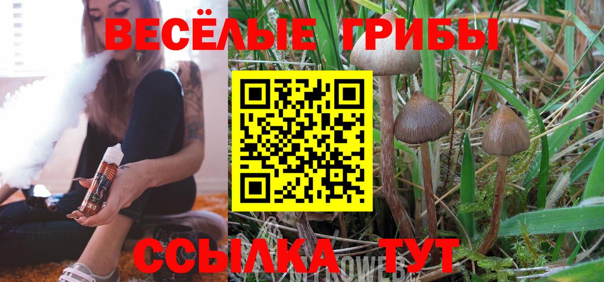 Родники  Галлюциногенные грибы прущие грибы  Вход с VPN 